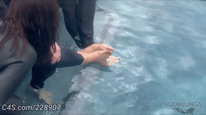 xsiteability.com - Underwater Foot Fetish thumbnail